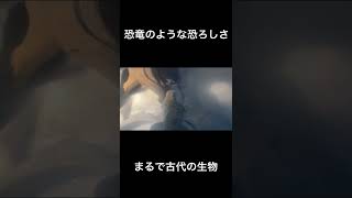 ホウセキカナヘビの必殺技　Ocellated lizard special move