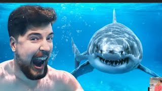 World your swin with Sharks 🦈 for $1000.000 ?#mr beast @round 2facts !! Hindi clip