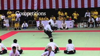 7th European Taido Championship in Angers, France, August 6-7 PV1