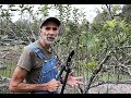 Pruning Apple Trees