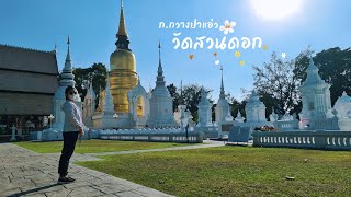 ก.กวาง ปาแอ่ว : วัดงามในตำนาน วัดสวนดอก