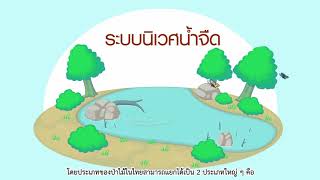 คลิป 1 ความหลากหลายทางชีวภาพ by BEDO