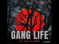 LIL nine x @Venusatyourpage GANG LIFE  a gangsta banger from mixtape mixed up