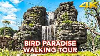 Bird Paradise Singapore: Park Guide, Visitor Tips and Full Day Walking Tour Highlights