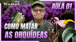 CURSO GRATUITO: SEMANA DAS ORQUÍDEAS - AULA 01 / MASUJI KAYASIMA