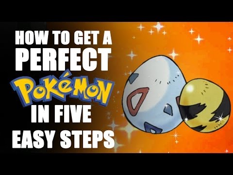 How To Breed for IVs in Pokémon X & Y - Tamashii Hiroka How To Breed for IVs in Pokémon X & Y - Tamashii Hiroka
