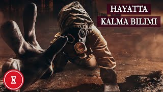 Bilime Göre Nasıl Hayatta Kalır | Hayatta Kalmak İçin Gerekenlere Sahip Misiniz? Hadi Bulalım