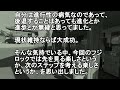 【来年の目標】：「脊髄小脳変性症って人生」アーカイブソナチネ文字ブログ