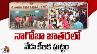 Nagoba Jatara 2025 | Praja Darbar | నాగోబా జాతరలో నేడు కీలక ఘట్టం | 10TV News