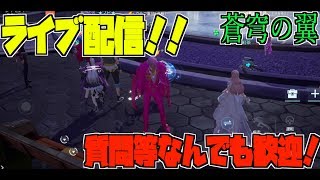 【ドラブラ】イベ日課しながら話しましょう！ 【コード：ドラゴンブラッド】