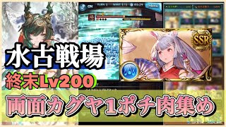 水古戦場 肉集め 3500万 両面カグヤ1ポチ 終末Lv200止まり これでやる予定【グラブル】