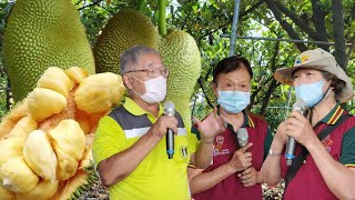 新興作物「愛玉、榴槤蜜」走動式觀摩會（下）