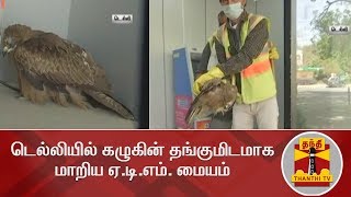 #EXCLUSIVE | டெல்லியில் கழுகின் தங்குமிடமாக மாறிய ஏ.டி.எம். மையம் | Delhi | ATM | Thanthi TV