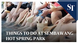 Things to do at the reopened Sembawang Hot Spring Park | The Straits Times