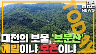 '대전의 보물' 보문산 개발이냐 보존이냐/대전MBC