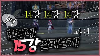 14강3명이 동시에 15강 도전~!