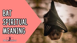 Bat Spiritual Meaning