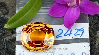 พลอย บุษราคัม บางกะจะ Yellow Sapphire กะรัต 24.29 Ct. 16.6x18.7x9.0 mm.