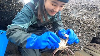 猪猪赶海抓到值钱货被围观了，石缝里摸出太少见了，游客看了都羡慕