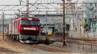 JR貨物　EH500-33牽引　3054ﾚ　蕨付近　2013/03/08