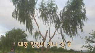 Hppy추석 합덕제!