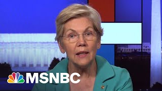 Senator Elizabeth Warren Talks Inflation Reduction And Avoiding Political Catnip