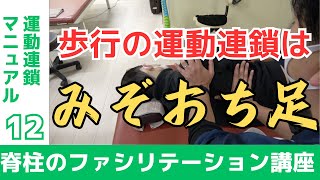 【有料級】みぞおちから足を生やすテクニック（脊柱のファシリテーション講座＃12）