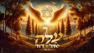 יאיר דוד - עלה