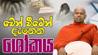 වෙන් වීමෙන් දැනෙන ශෝකය   Venerable Welimada Saddaseela Thero