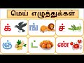 மெய் எழுத்துக்கள் க் முதல் ன் வரை உள்ள சொற்கள் | Mei Ezhuthukkal words with pictures