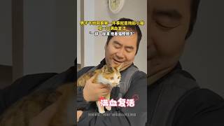 男子下班回到家，第一件事就是抱起猫咪亲，吸一口满血复活。＃cat＃萌宠＃宠物＃猫咪＃猫咪治愈瞬间