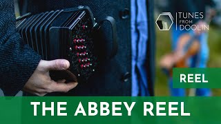 THE ABBEY REEL | Irish Music Tunes on Concertina 🎵☘️