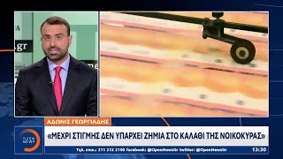 Άδωνις Γεωργιάδης: Μέχρι στιγμής δεν υπάρχει ζημιά στο καλάθι της νοικοκυράς | Μεσημεριανό Δελτίο