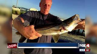 FWC: Catch & release only for snook and redfish