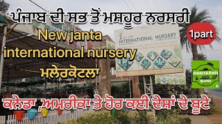 Malerkotla famous! New Janta International Nursery Malerkotla! Punjab top nursery! Amrit\u0026 rmn blogs