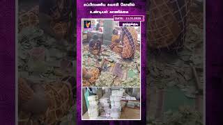 சுப்பிரமணிய சுவாமி கோவில் உண்டியல் காணிக்கை ! | Tiruchendur | Murugan Temple