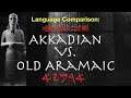 akkadian vs. old aramaic a comparison of semitic languages using the tell fekheriyeh inscription