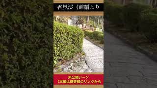 え？え？え？ん？って思った動画w/愛知県香嵐渓/未公開映像