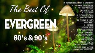 Greatest Relaxing Love Songs 80's 90's 💗 The Most Romantic Evergreen Songs Of Al