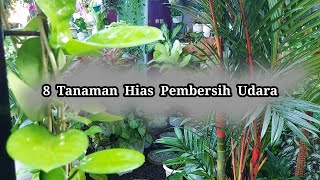 8 Tanaman hias pembersih udara, bikin rumah makin bersih dan segar