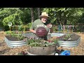 how to plant a sun loving planter and a special garden center visit