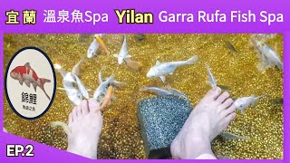 🇹🇼 宜蘭 重口味溫泉魚sap （ Yilan Garra Rufa Fish Spa  ）