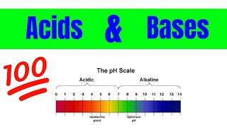 Properties of Acids and Bases | The Basics