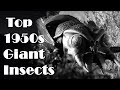 Top 1950s Giant Insects