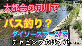 大都会の河川でバス釣り？ダイソースプーンでチャビングのはすが ダイソールアーロッド