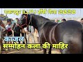 सम्मोहन कला की माहिर घोड़ी | makanpur horse mela 2020 | pkraj vlogs | best marwadi mare