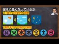 【犬の下痢】軽度な下痢と重篤な下痢を見分ける方法