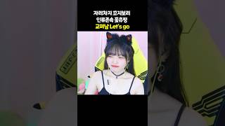 자리차지 꼬지보리 인류존속 꽃츄핑 교미남 Let's go