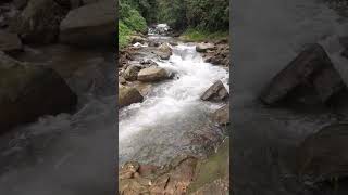 charmadi ghat| moodigere | Chikmagalur | Dharmasthala |ujire