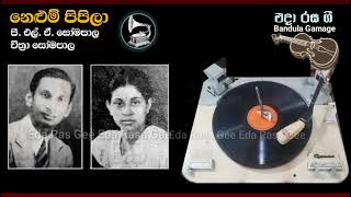 නෙළුම් පිපීලා / Nelum Pipila  - P. L. A. Somapala \u0026 Chithra Somapala